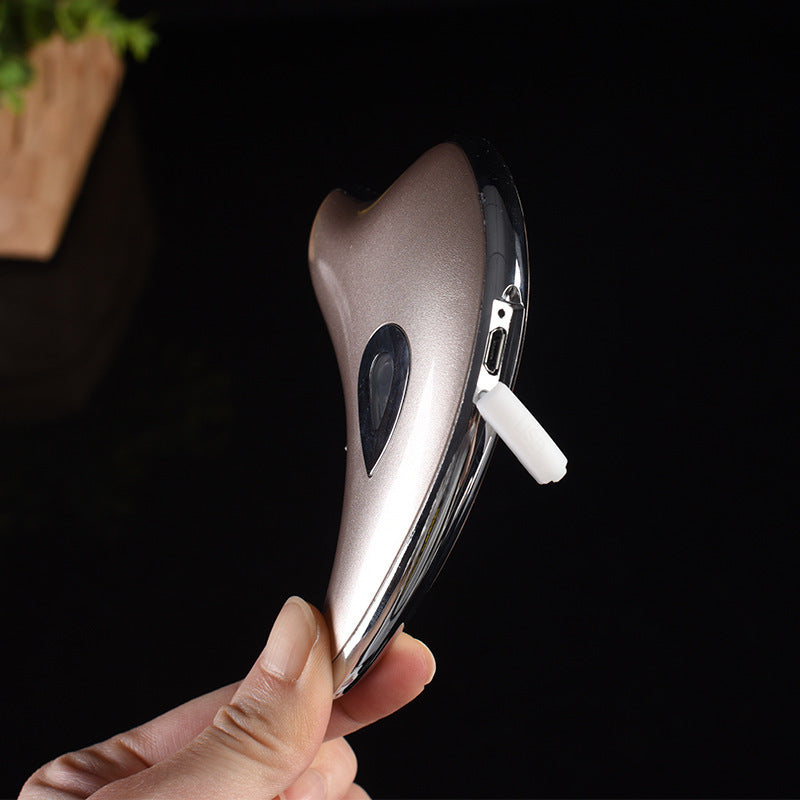 Little Dolphin Microcurrent Gua Sha Beauty Tool