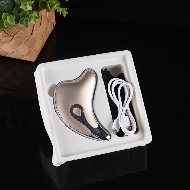 Little Dolphin Microcurrent Gua Sha Beauty Tool
