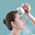 Electric Claw Head Spa Relaxation Massager