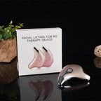 Little Dolphin Microcurrent Gua Sha Beauty Tool